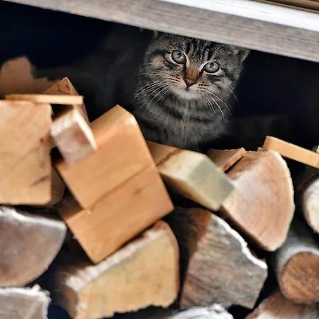 דירה Altestanzeostana Ostana